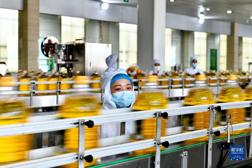 电子游戏所有网站